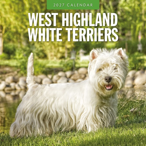 West Highland White Terriers - 2027 Red Robin Square Wall Calendar Planner