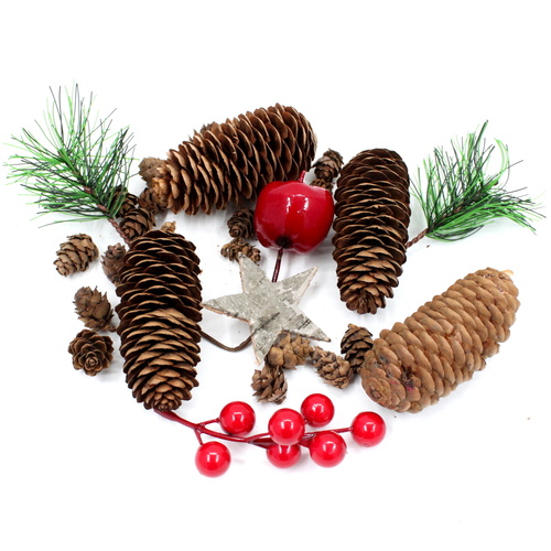 2 packs 38pcs+ Pine Cones Berries Star Leaves Christmas Xmas Decoration Craft